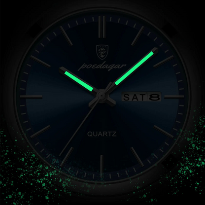 Montre pour homme Royal Executive Syvon